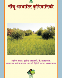 Nimbu cover 2023