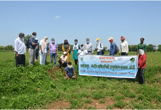 Training-Programme-on-Ber-Budding Training-Programme-on-Ber-Budding