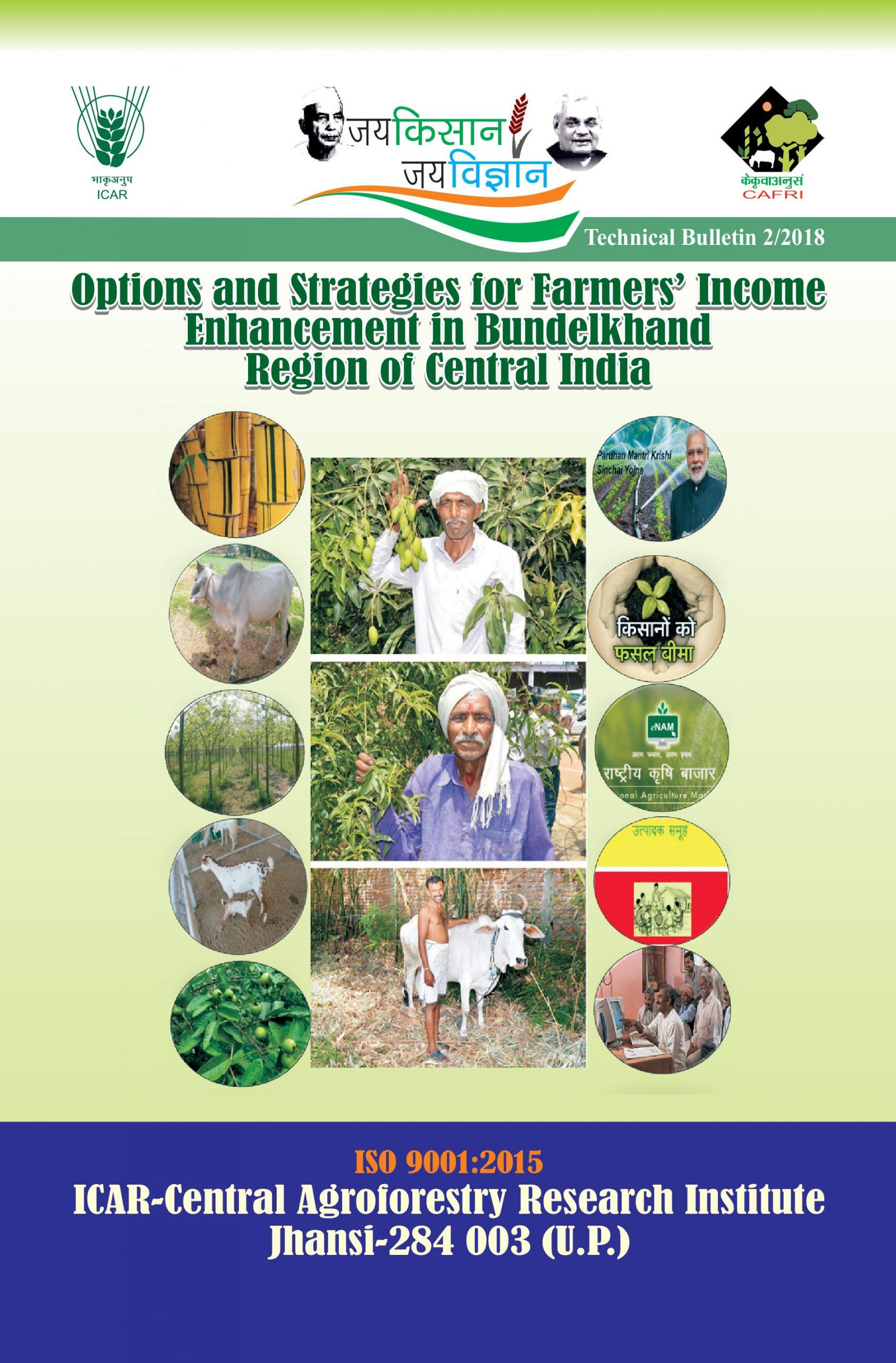 Options and strategies for Farmer's Income Enhancement in Bundelkhand Region of Central India