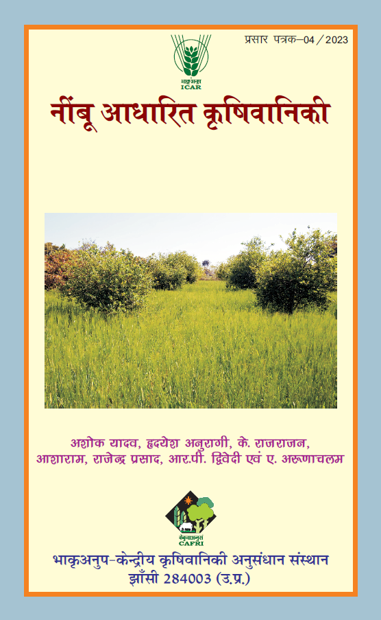 Nimbu cover 2023
