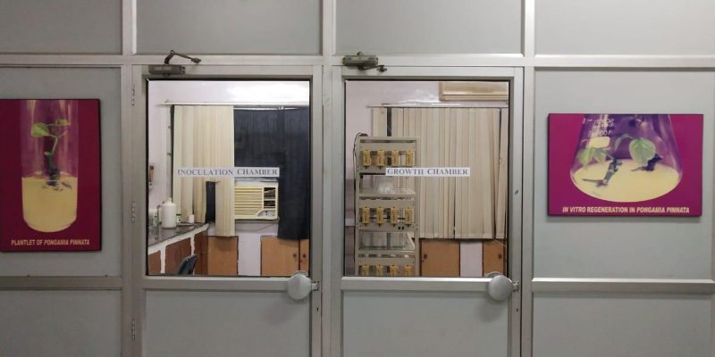 1. Tissue culture laboratory